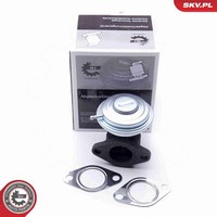 Esen Skv Agr-Ventil 14SKV183 FüR Audi Skoda Vw