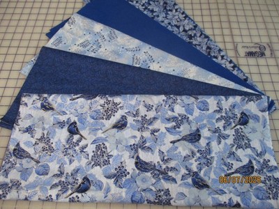 Awesome Metallic Blue Bird Blues 5 Yard Quilt Kit Fabric & Patt