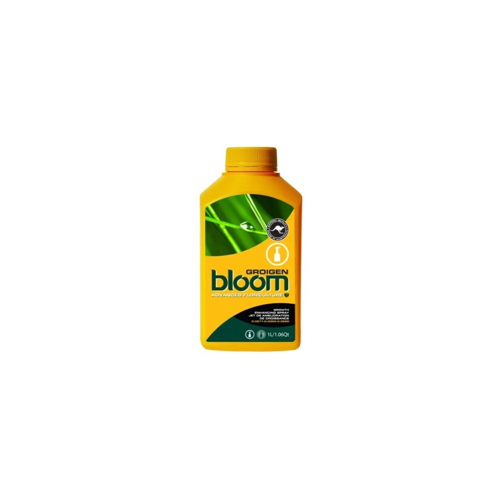 Bloom Groigen - Thumbnail 2