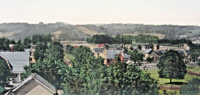 Vintage Newberg Yamhill County Oregon Panoramic Hand Colored Postcard BEV 1910s