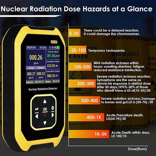 Kernstrahlungsdetektor GM Geigerzähler β/γ/Röntgendosimeter tragbar - Bild 9 von 16