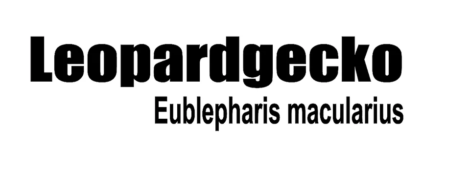 JN GRAFIK ART Leopardgecko Aufkleber Gecko Terrarium Sticker Reptil reptilien Wüste Vers.Farbe