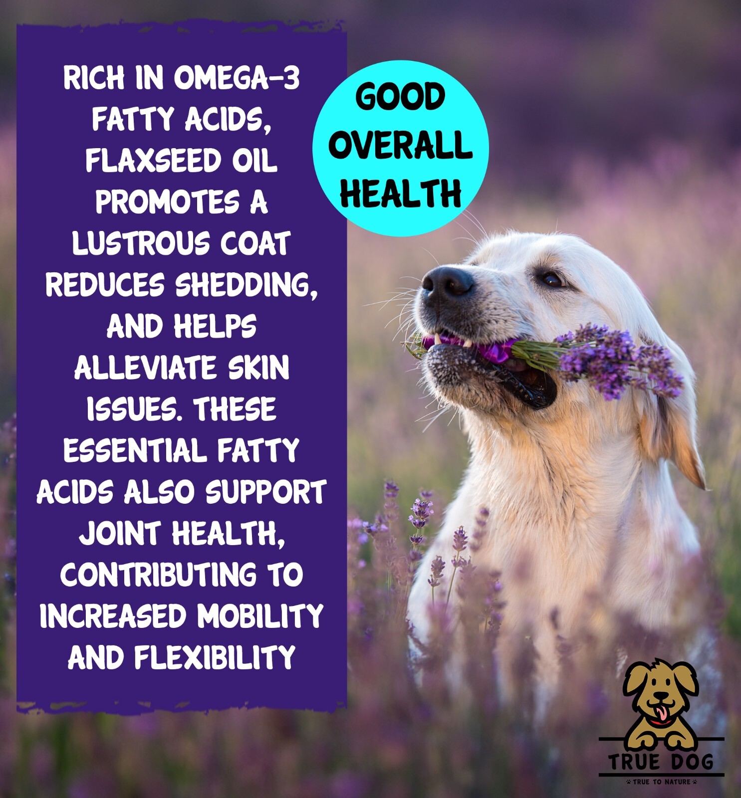 Flaxseed Oil for Dogs 1 Litre Pump Dog Feed Supplement Linseed Oil