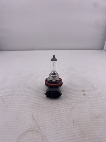 Genuine BRP 219800149 - HALOGEN BULB H8 12V 35W | eBay