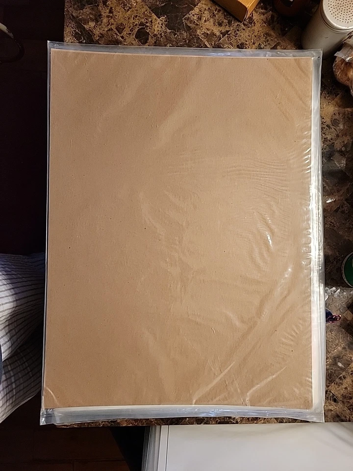 Nuevo de Lote Antiguo - Dibujo y Diseño Transparente Vitela Desvanecida 16 lb - 10 Hojas 18x24 Foto 3 de 4