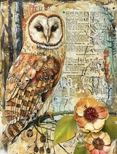 Woodsy Owl #2 | A4 Mulberry Rice Decoupage Paper | Craft Kreatively