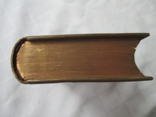 Antique English Polyglot Bible / Book of Common Prayer - Bagster & Sons - Picture 12 of 14