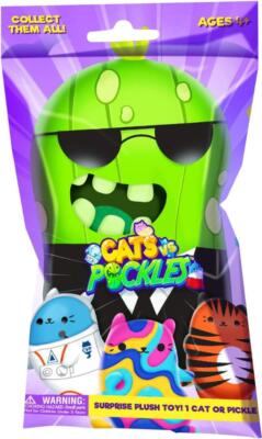 Cats Vs Pickles CHONKS Large 6'' Bean Bag Plush Toy - YOU CHOOSE!