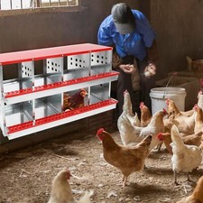 8 Hole Chicken Nesting Box Hen Laying Boxes Roll Away Nesting Box for Laying Egg