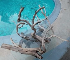 Set Of 4 For  Driftwood Manzanita Aquascape Aquarium Terrarium 