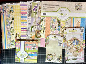 Bo Bunny COTTONTAIL Easter LOT 6X6 PAPER PAD NOTEWORTHY COLLECTION PACK PARTIALS