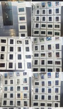HUGE 567 ORIGINAL NEGATIVE FILM SLIDES 1990'S CHARLOTTE HORNETS PLAYERS NBA RARE