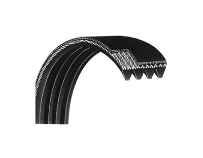 Matrix Commercial AR11 Rower Pulley Drive Belt Poly-V 150J 1000384189