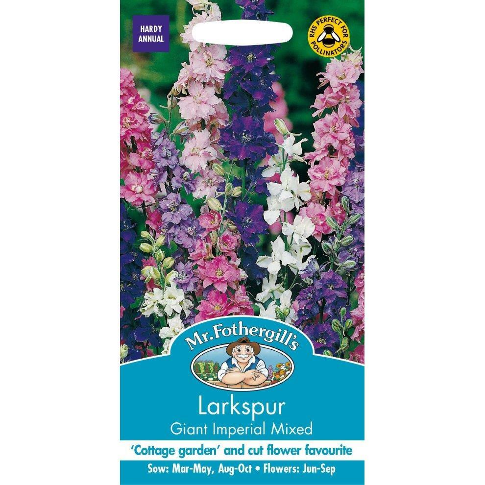 Mr Fothergills Pretty Colour Garden Flowers Larkspur Giant Imperial Mixed Seeds
