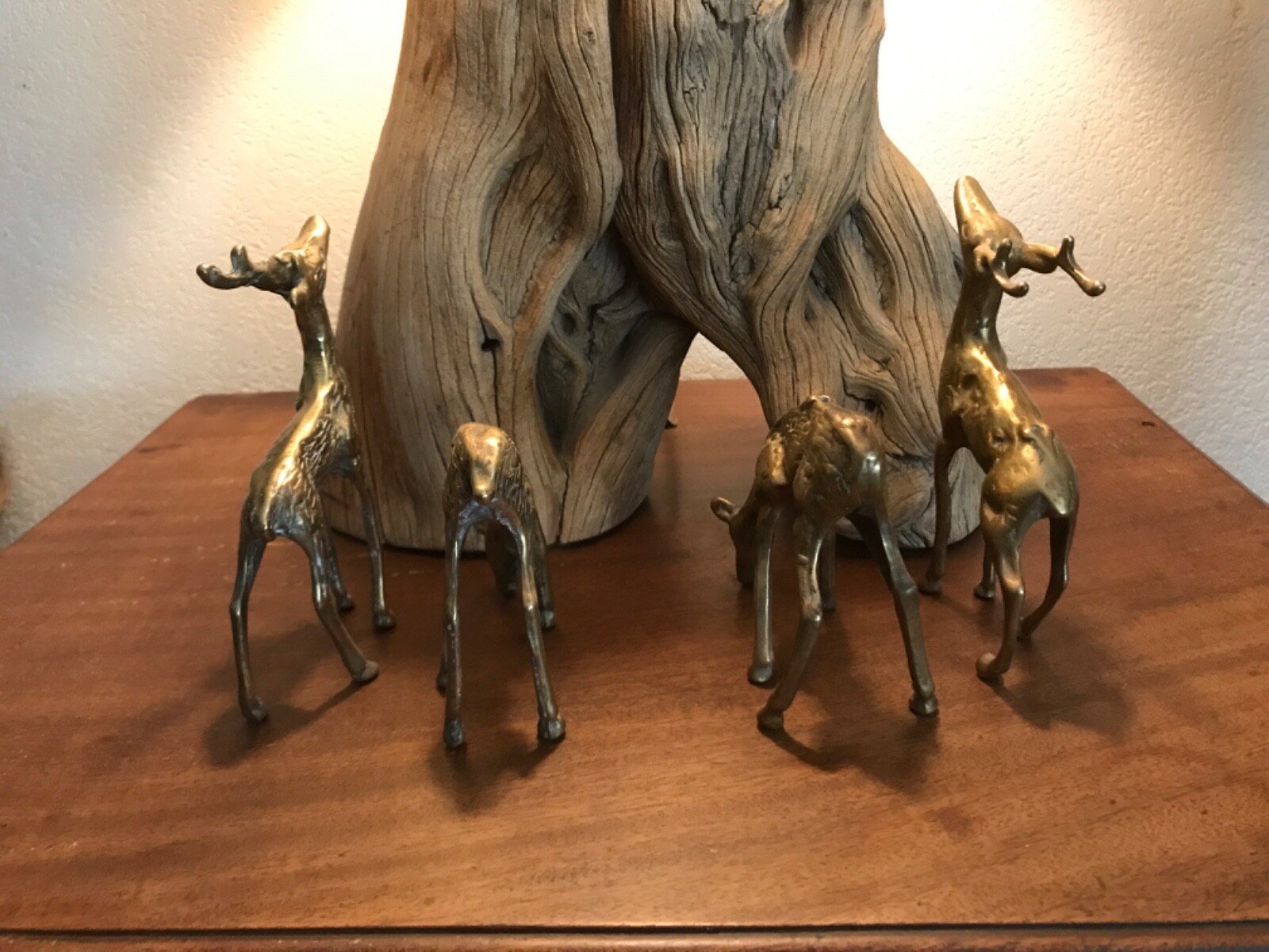 Picture 12 of 12