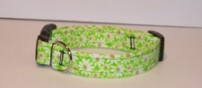 Wet Nose Designs Daisy Daisy Dog Collar Daisies on Lime Green Floral Flowers