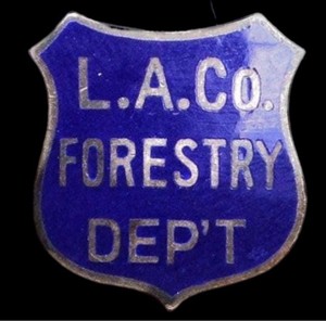 Rare 30s-40s L A County Forestry Department Pin Sterling Silver Chipron Stamp Co