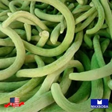 120 Cucumber Fresh Seeds Metki Pale Green Armenian Yard-Long Non-GMO Heirloom