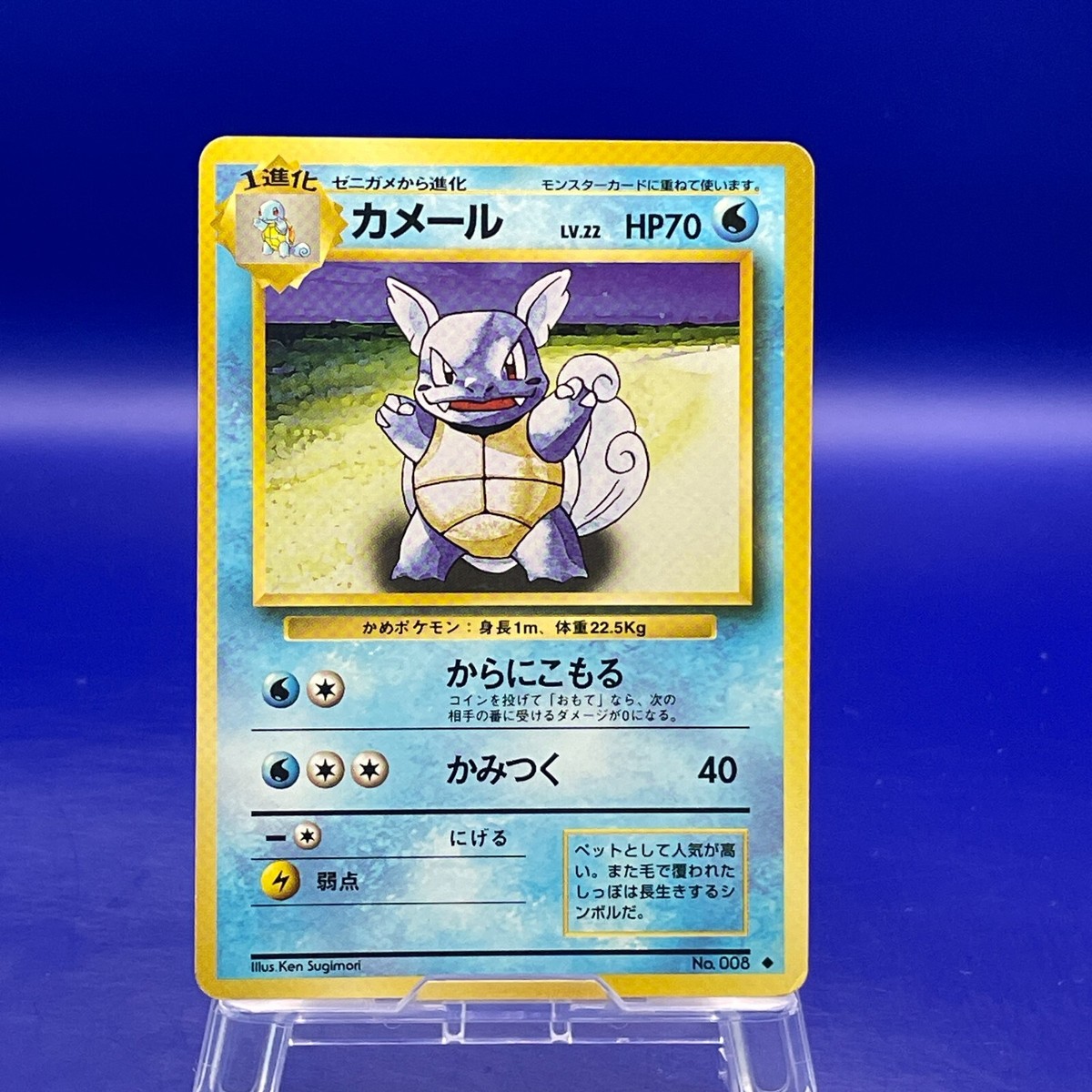 【美品】波乗りカメール 旧裏 イントロパック Surfing Wartortle Wartortle No.008 Pokemon Card Game TCG Trading Old Back Vintage