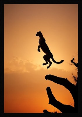 Nostalgischer Gepard gerahmtes Wandbild Poster Leinwanddruck Bild