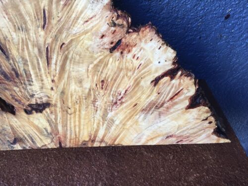 Buckeye Burl lastra bordo naturale tornitura artigianale 2" x 5-12,5" x 20" #1083 - Foto 4 di 7