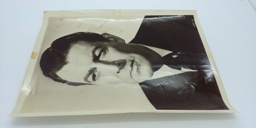 Vintage Original Photograph of Robert Taylor 8x10 - Picture 4 of 4