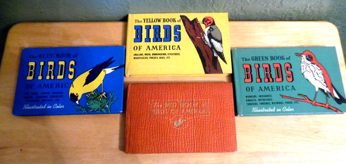 4 VINTAGE 1941 HRDCVR BIRD BOOKS OF AMERICA BLUE, YELLOW, RED, GREEN ILLUSTRATED