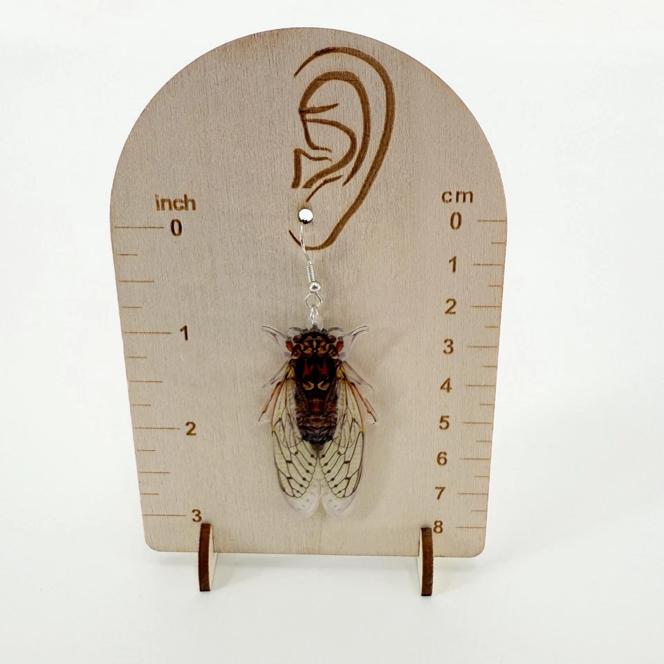 Pendientes Cicada, Joyería Cicada, Pendientes Inspirados en la Naturaleza, Pendientes Acrílicos Foto 4 de 4