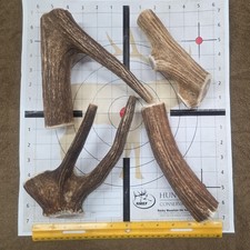 Lot 3 Naturally shed Antler Dog Chews, four Chews , 2lbs 3 Oz