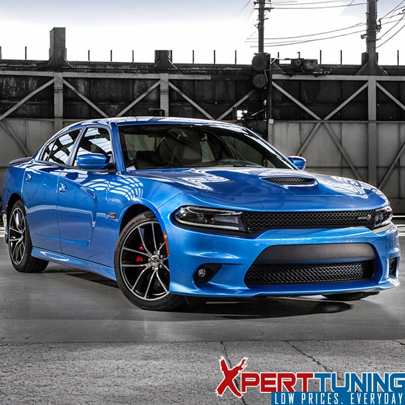 Fits 15-23 Dodge Charger Sedan SRT Scat Pack Front Lower Mesh Grille Grill Foto 2 de 4