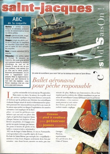 COTÉ MER Nr. 4 + Olivenbaum von KERSAUSON + Meeresfrüchte + Jakobsmuscheln - Bild 2 von 2