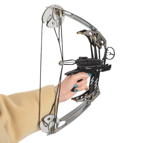 Archery Hunting 25lbs MINI Triangle Fishing Compound Bow Kit Arrows Right Hand - Picture 9 of 15