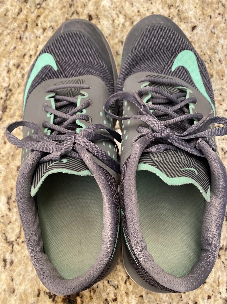 Nike fs lite run 2 sale premium
