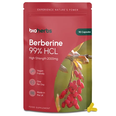 BIOHERBS Berberine 2000mg High Strength | 99% HCL | 90 One-Per-Day Vegan Capsules