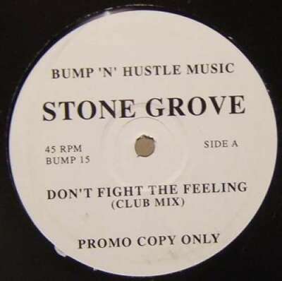 Stone Grove - Don't Fight The Feeling 12'' Promo Vinyl Schallplatt
