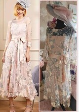 Kaleidoscope Nude Apricot Silver Lace Dress Mother Wedding Occasion Evening 16