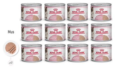 ROYAL CANIN Instinctive Babycat Mousse Ultra Soft 12x195 g