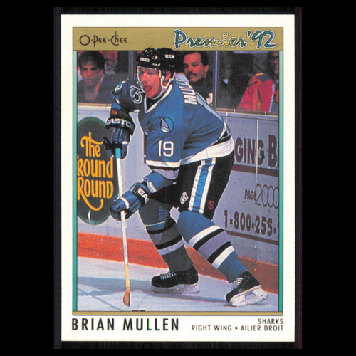 1991 Brian Mullen #166
