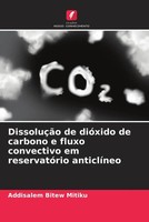 Addisalem Bitew Mitiku | DissoluçãO De DióXido De Carbono E Fluxo Convectivo...