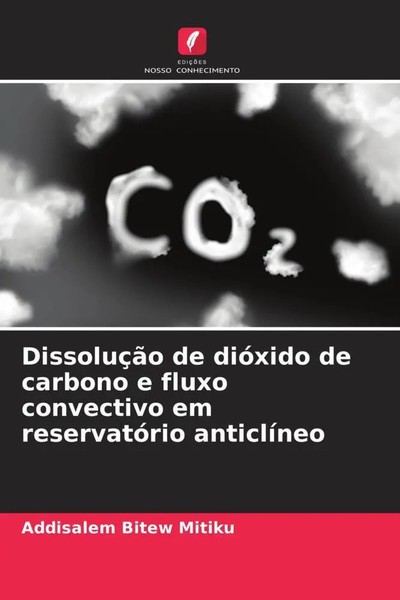Addisalem Bitew Mitiku | DissoluçãO De DióXido De Carbono E Fluxo Convectivo...-image