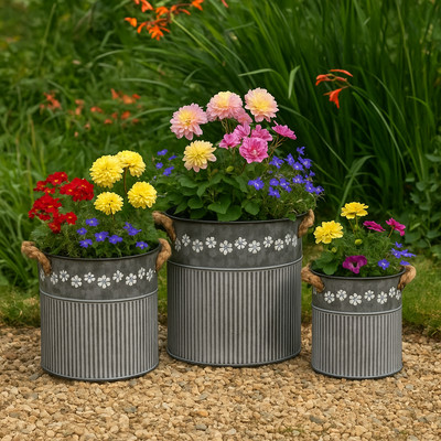 Set 3, Zink Gänseblümchen bedruckt Pflanzgefäße