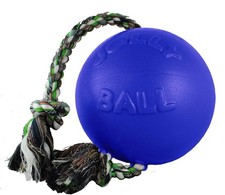 Jolly Pets Romp n Roll 6 Inches Blue Medium Dog Toy with Rope for Outdoor Play