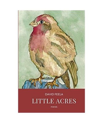 Little Acres, David Feela