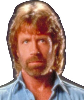 Chuck Norris Double Gun 69