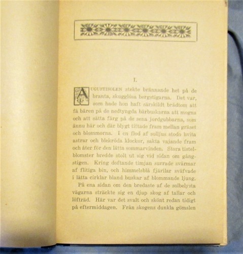 Pa Heidelberget HC Book Translated From German to Swedish 1914 Several Stories - 第 6/8 張圖片
