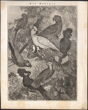 1834 Gravure sur bois