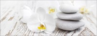 Pro-art Glass Wall Art Iii'gla1145o 'white Spring 125 X 50 Cm Pro-art Glass Wall Art Iii'gla1145o 'white Spring 125 X 50 Cm