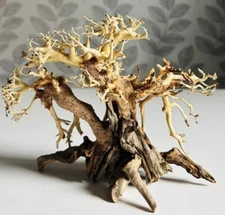 Dragon Wood- 6" Centerpiece For Aquariums, Vivariums, Paludariums, & more!