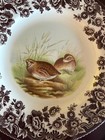 5 WOODLAND SPODE diff Salad PLATES 7.75" Falcon Pintail Quail Goose Wood Duck — photo 4
