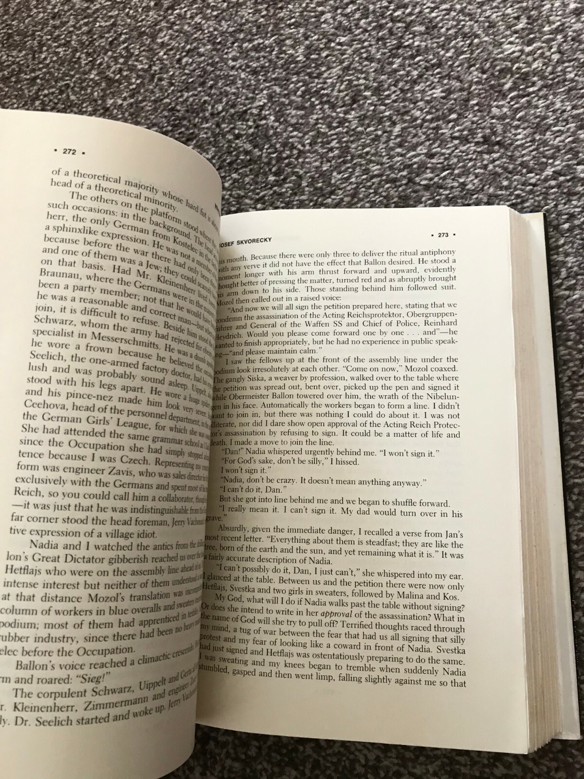 Picture 10 of 10